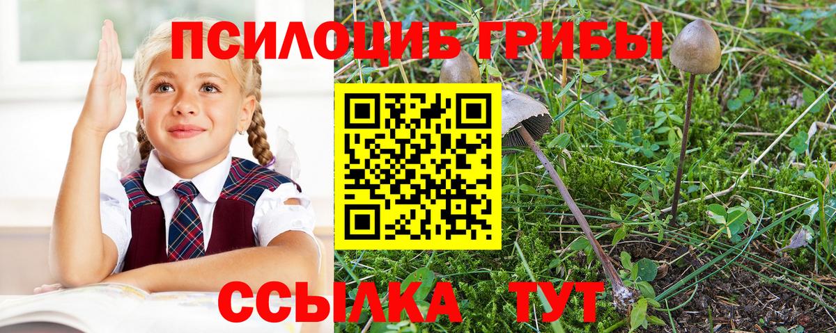 Псилоцибиновые грибы Psilocybine cubensis  Вход с VPN  Кузнецк 